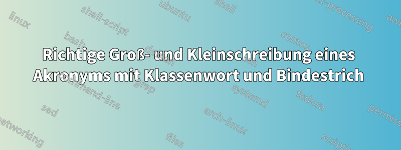 Richtige Groß- und Kleinschreibung eines Akronyms mit Klassenwort und Bindestrich