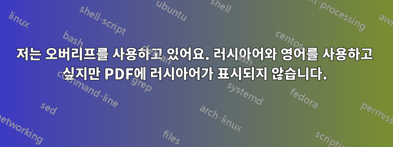 저는 오버리프를 사용하고 있어요. 러시아어와 영어를 사용하고 싶지만 PDF에 러시아어가 표시되지 않습니다.