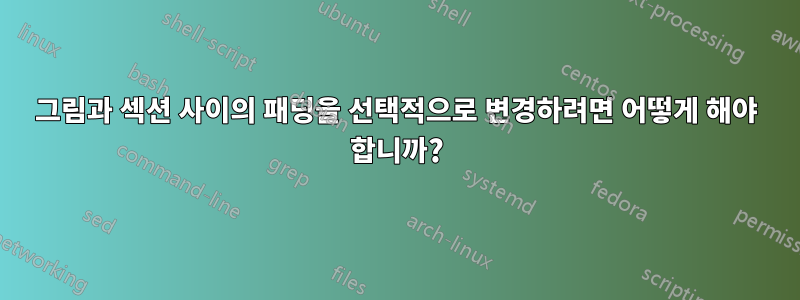 그림과 섹션 사이의 패딩을 선택적으로 변경하려면 어떻게 해야 합니까?