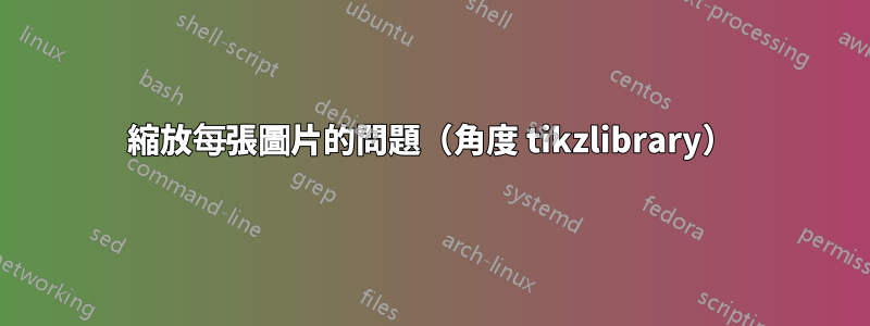 縮放每張圖片的問題（角度 tikzlibrary）