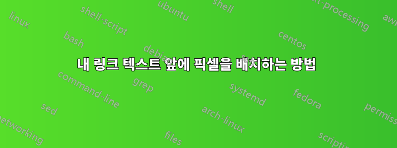 내 링크 텍스트 앞에 픽셀을 배치하는 방법