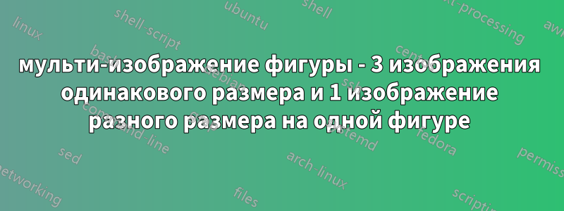 мульти-изображение фигуры - 3 изображения одинакового размера и 1 изображение разного размера на одной фигуре