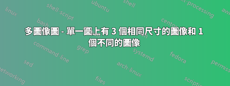 多圖像圖 - 單一圖上有 3 個相同尺寸的圖像和 1 個不同的圖像