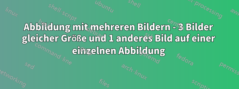 Abbildung mit mehreren Bildern - 3 Bilder gleicher Größe und 1 anderes Bild auf einer einzelnen Abbildung