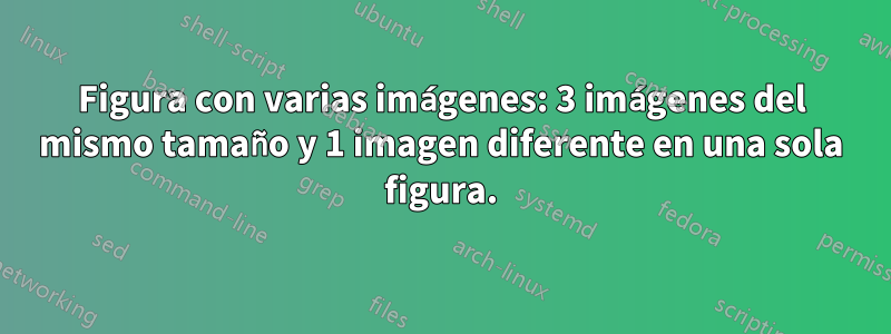 Figura con varias imágenes: 3 imágenes del mismo tamaño y 1 imagen diferente en una sola figura.