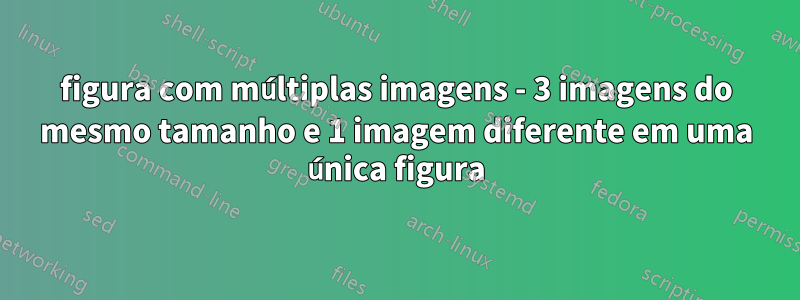 figura com múltiplas imagens - 3 imagens do mesmo tamanho e 1 imagem diferente em uma única figura