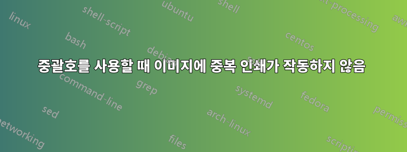 중괄호를 사용할 때 이미지에 중복 인쇄가 작동하지 않음