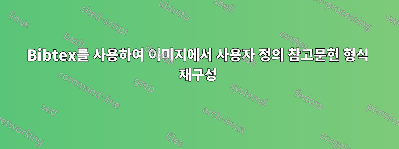 Bibtex를 사용하여 이미지에서 사용자 정의 참고문헌 형식 재구성