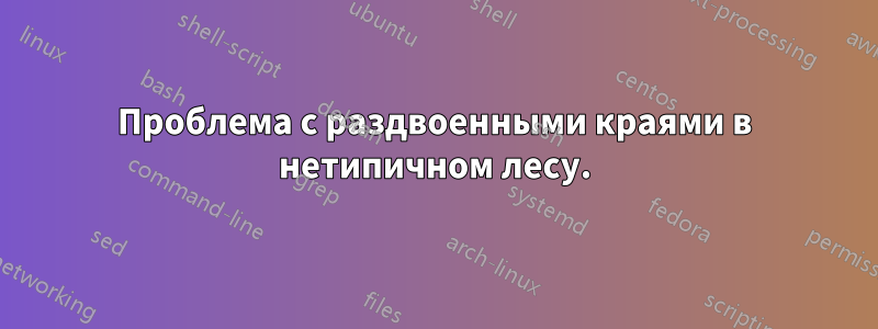 Проблема с раздвоенными краями в нетипичном лесу.