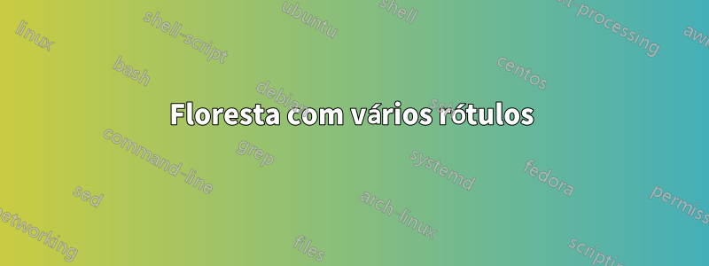 Floresta com vários rótulos