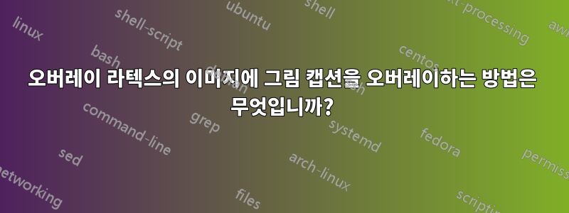 오버레이 라텍스의 이미지에 그림 캡션을 오버레이하는 방법은 무엇입니까?