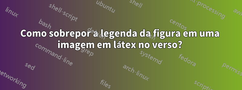 Como sobrepor a legenda da figura em uma imagem em látex no verso?