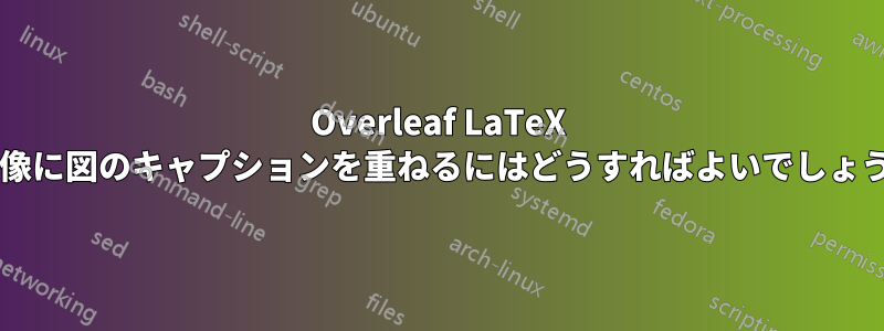 Overleaf LaTeX で画像に図のキャプションを重ねるにはどうすればよいでしょうか?