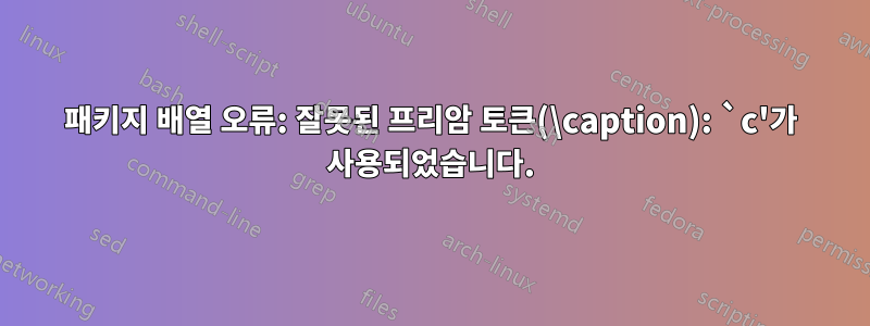 패키지 배열 오류: 잘못된 프리암 토큰(\caption): `c'가 사용되었습니다.