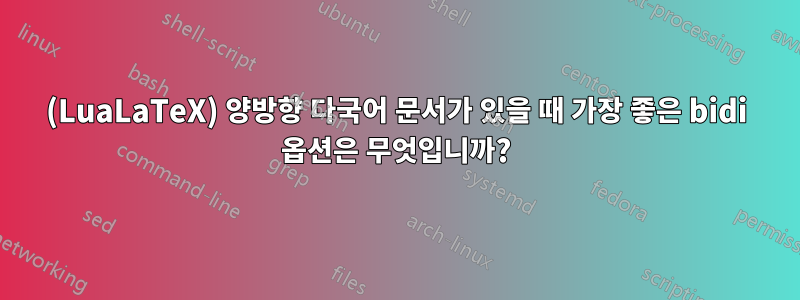 (LuaLaTeX) 양방향 다국어 문서가 있을 때 가장 좋은 bidi 옵션은 무엇입니까?