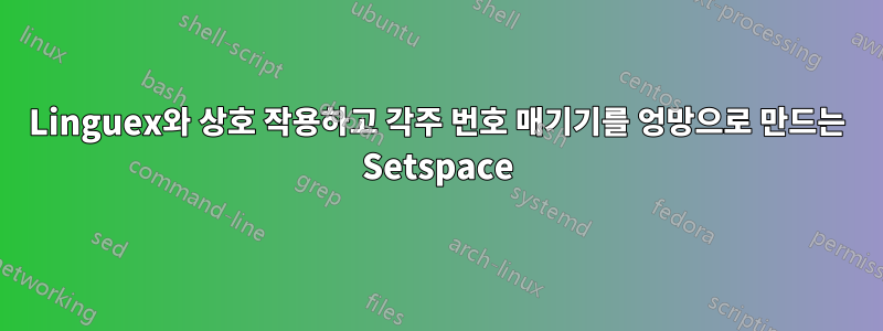 Linguex와 상호 작용하고 각주 번호 매기기를 엉망으로 만드는 Setspace