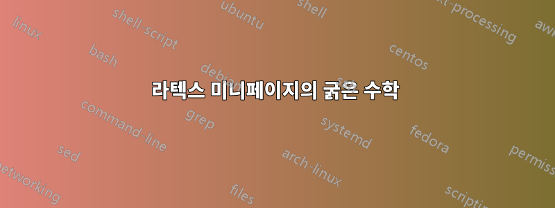 라텍스 미니페이지의 굵은 수학