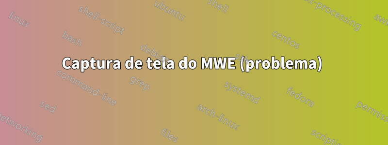 Captura de tela do MWE (problema)