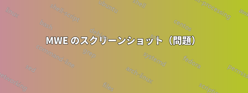 MWE のスクリーンショット（問題）