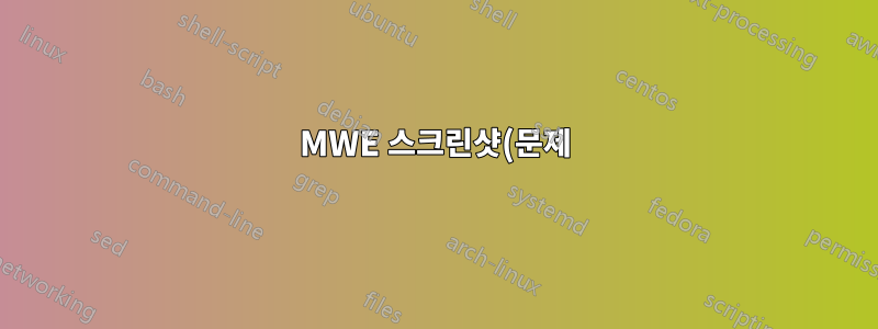 MWE 스크린샷(문제)