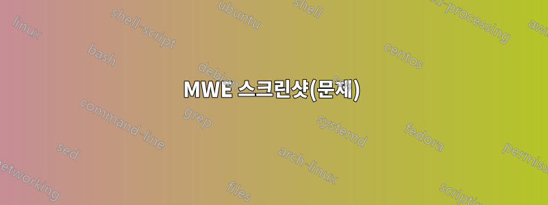 MWE 스크린샷(문제)