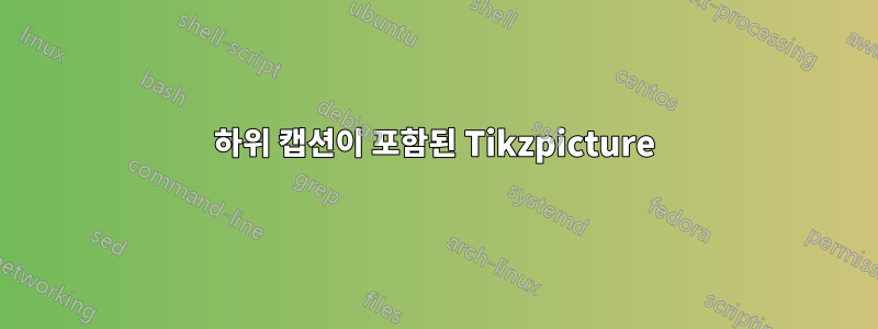 하위 캡션이 포함된 Tikzpicture