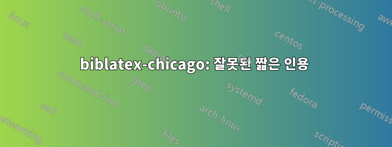 biblatex-chicago: 잘못된 짧은 인용