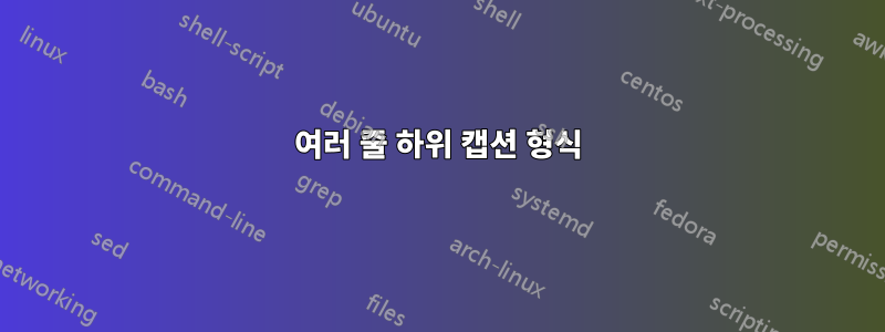 여러 줄 하위 캡션 형식