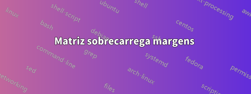 Matriz sobrecarrega margens