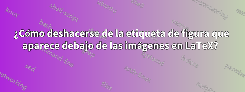 ¿Cómo deshacerse de la etiqueta de figura que aparece debajo de las imágenes en LaTeX? 