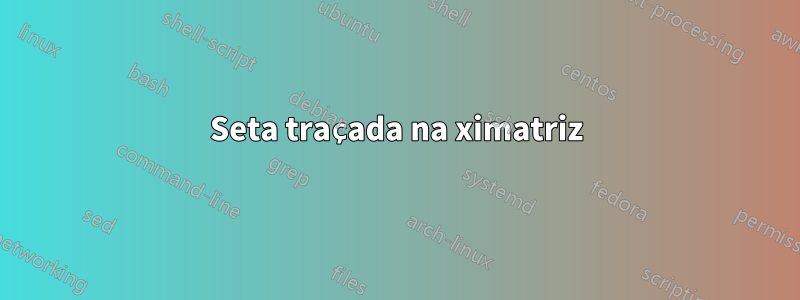 Seta traçada na ximatriz