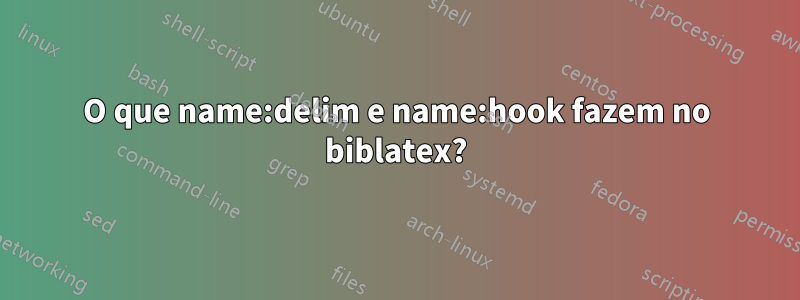 O que name:delim e name:hook fazem no biblatex?