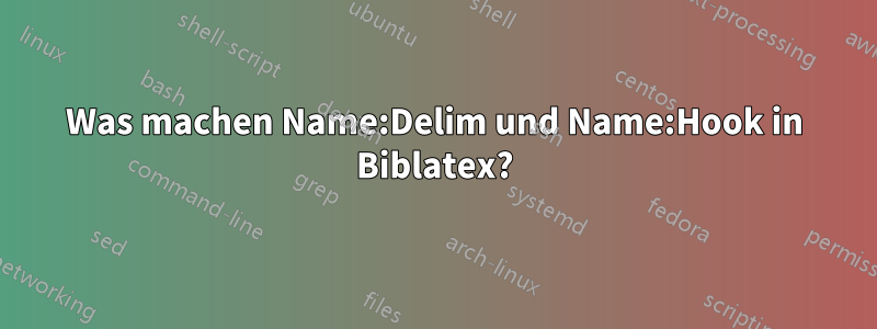 Was machen Name:Delim und Name:Hook in Biblatex?