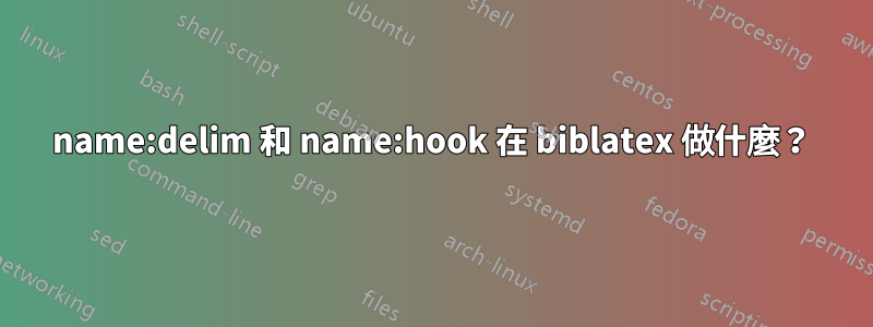 name:delim 和 name:hook 在 biblatex 做什麼？