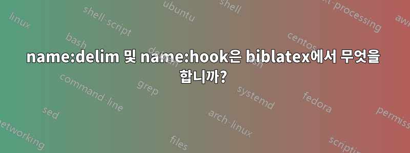 name:delim 및 name:hook은 biblatex에서 무엇을 합니까?