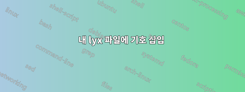 내 lyx 파일에 기호 삽입