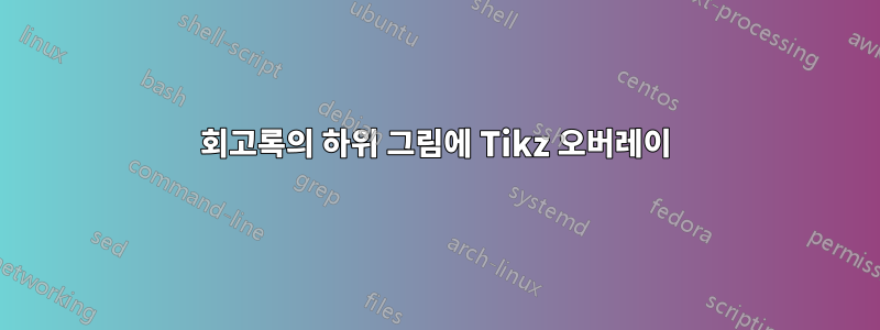 회고록의 하위 그림에 Tikz 오버레이