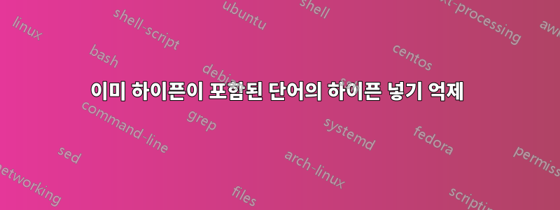 이미 하이픈이 포함된 단어의 하이픈 넣기 억제