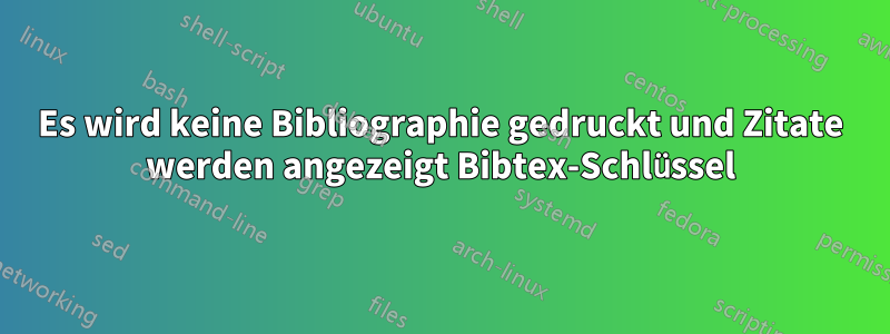 Es wird keine Bibliographie gedruckt und Zitate werden angezeigt Bibtex-Schlüssel