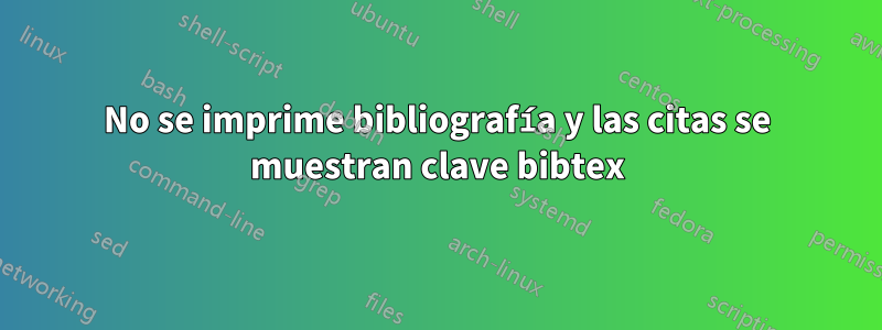 No se imprime bibliografía y las citas se muestran clave bibtex