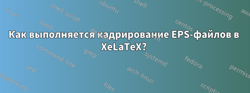 Как выполняется кадрирование EPS-файлов в XeLaTeX?