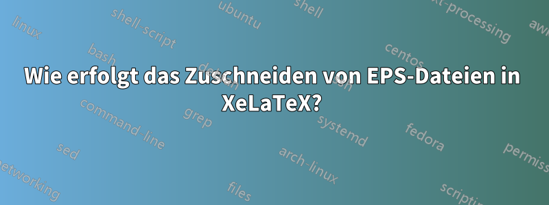 Wie erfolgt das Zuschneiden von EPS-Dateien in XeLaTeX?
