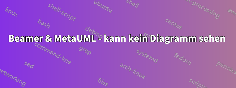 Beamer & MetaUML - kann kein Diagramm sehen