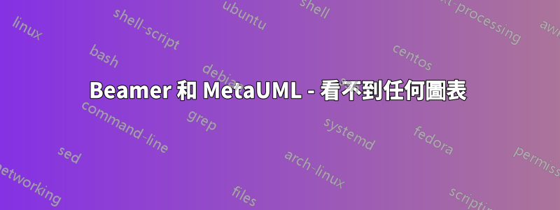Beamer 和 MetaUML - 看不到任何圖表
