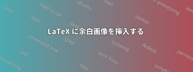 LaTeX に余白画像を挿入する