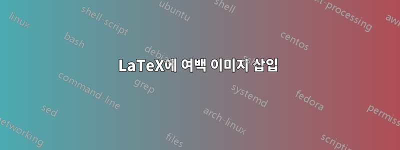 LaTeX에 여백 이미지 삽입