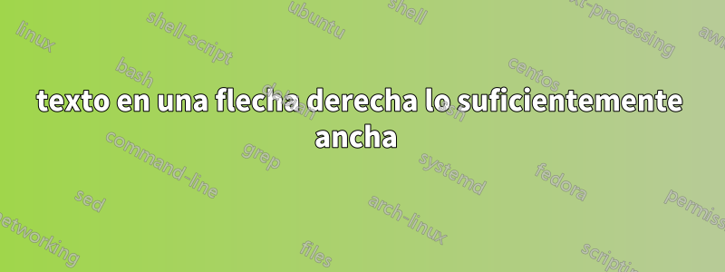 texto en una flecha derecha lo suficientemente ancha 