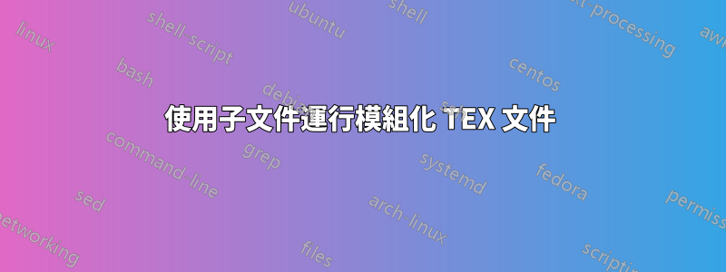 使用子文件運行模組化 TEX 文件