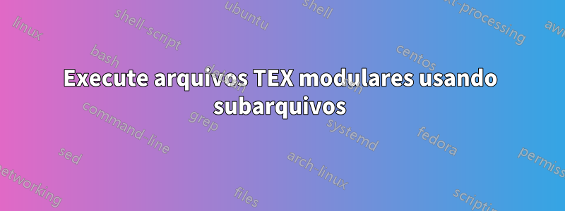 Execute arquivos TEX modulares usando subarquivos