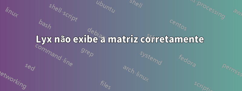 Lyx não exibe a matriz corretamente